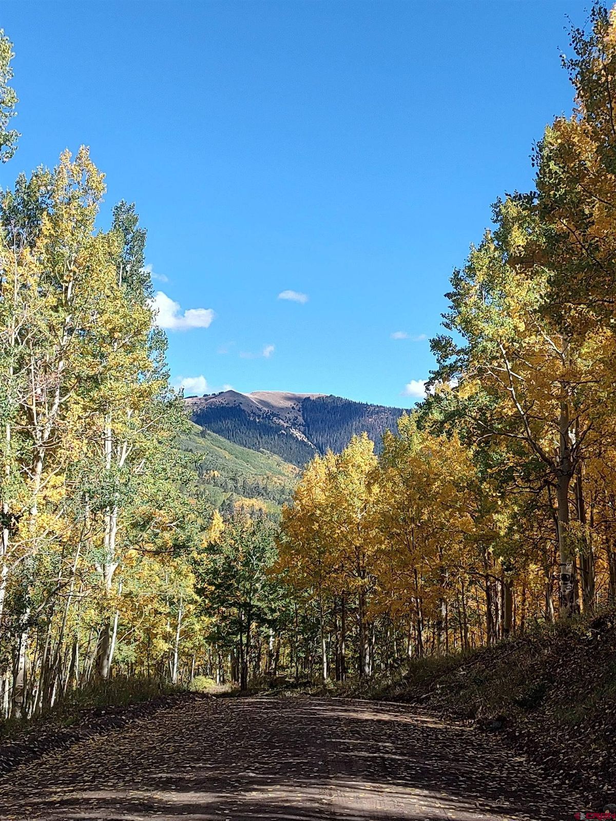 Green Homes for Sale - Fort Garland, Colorado Green Home