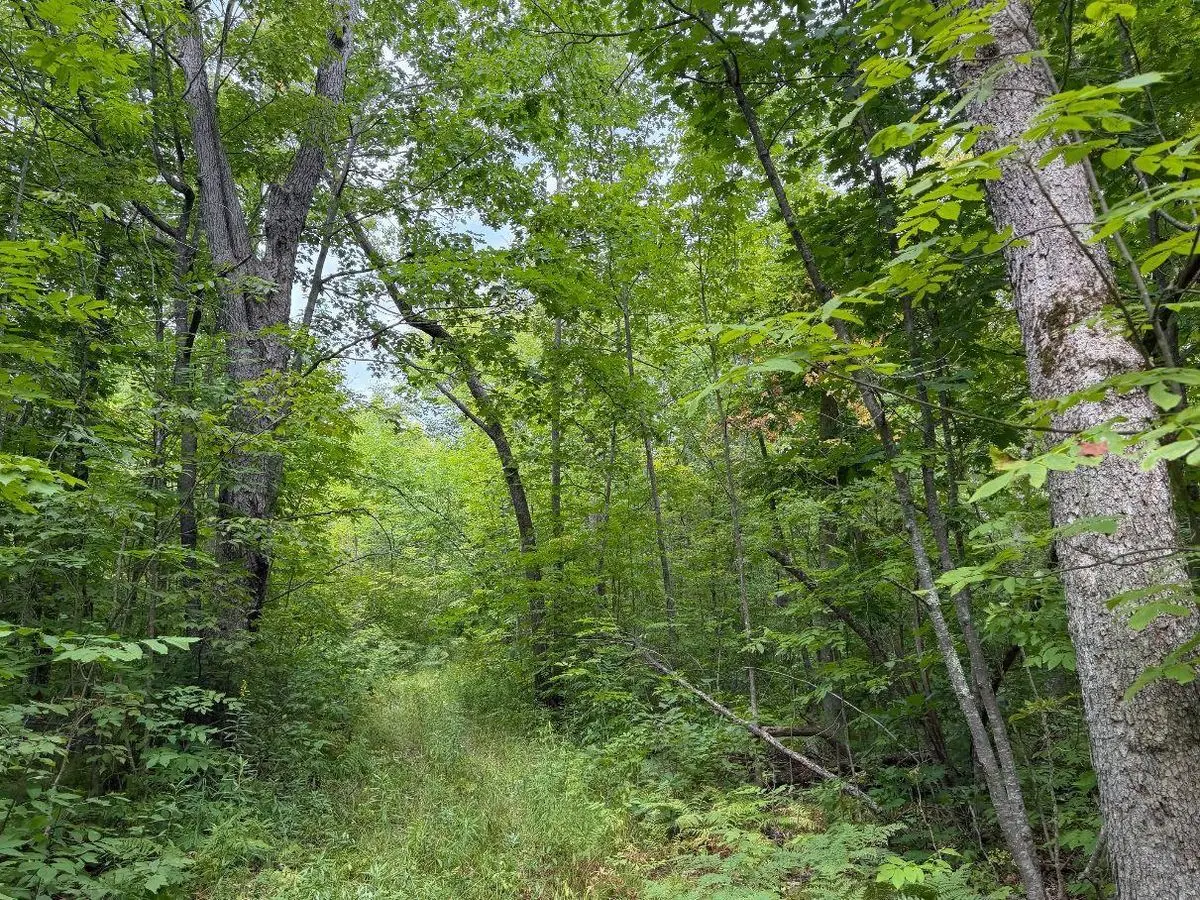 property-listing