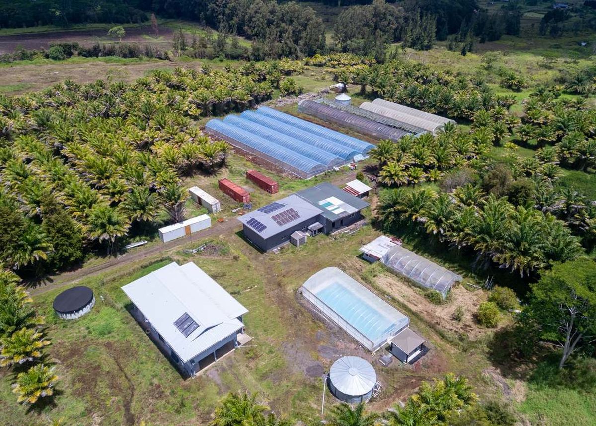 Green Homes for Sale - Mountain View, Hawaii Green Home