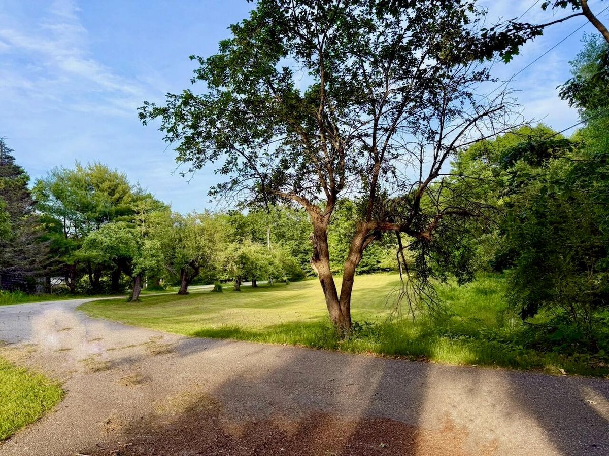 property-listing