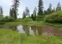 listing-thumbnails