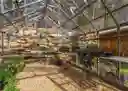 listing-thumbnails