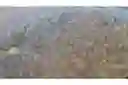 listing-thumbnails