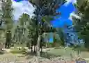 listing-thumbnails