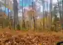 listing-thumbnails