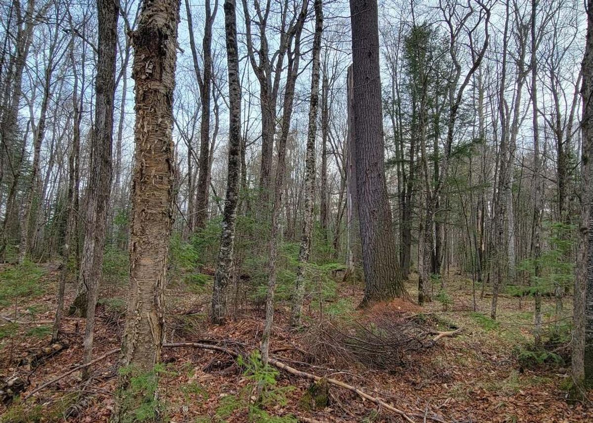 property-listing
