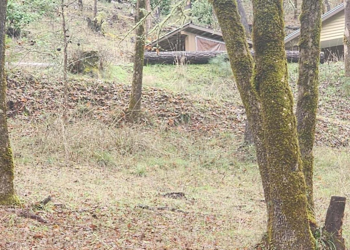 property-listing