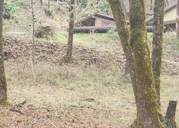 listing-thumbnails