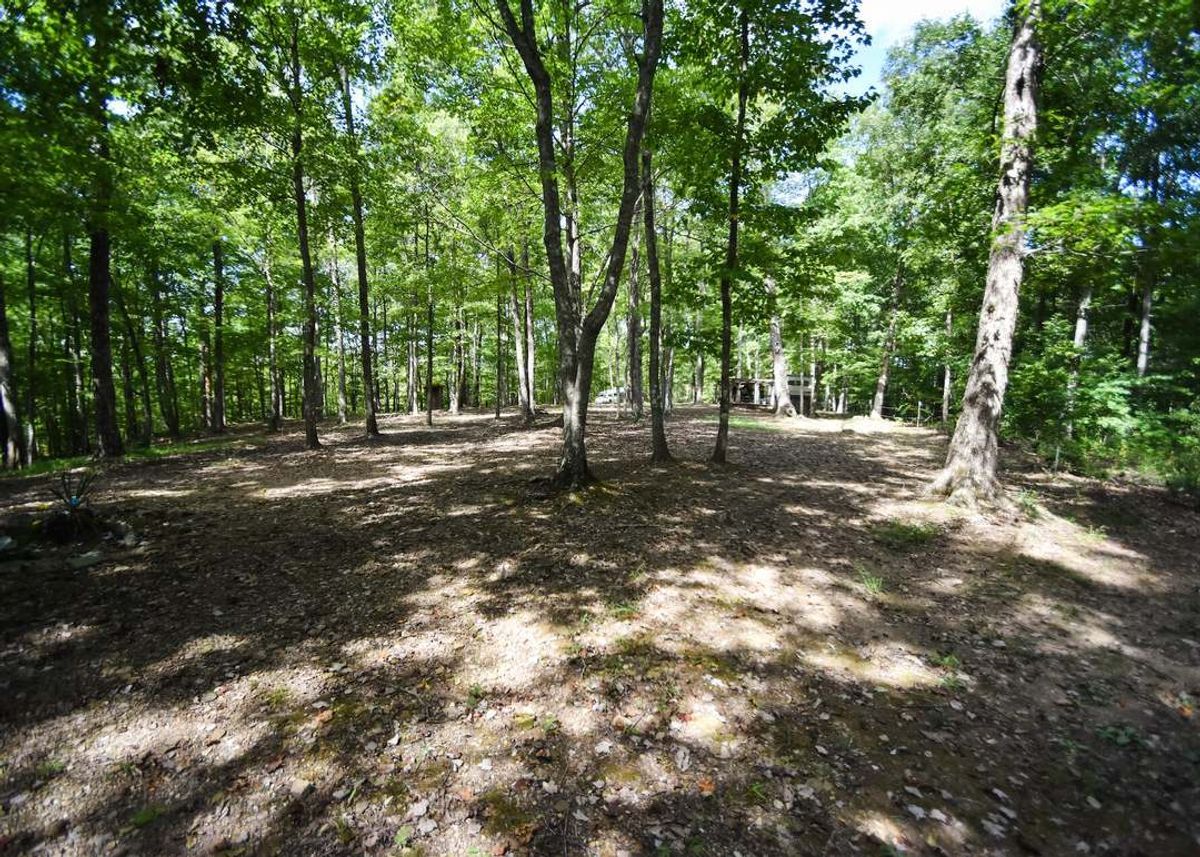 property-listing