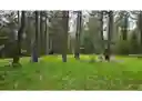 listing-thumbnails
