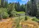 listing-thumbnails