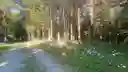 listing-thumbnails
