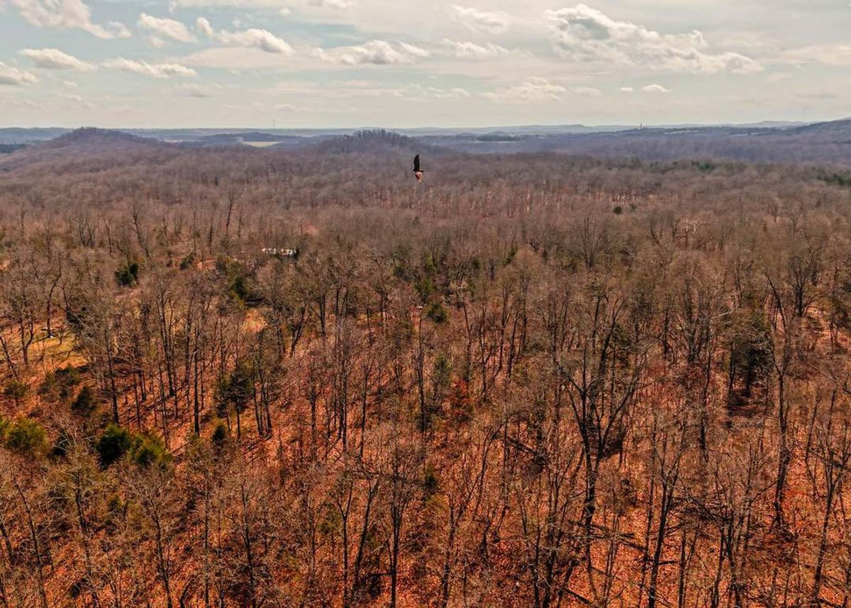 Green Homes for Sale - Bridges Township, Missouri Green Home