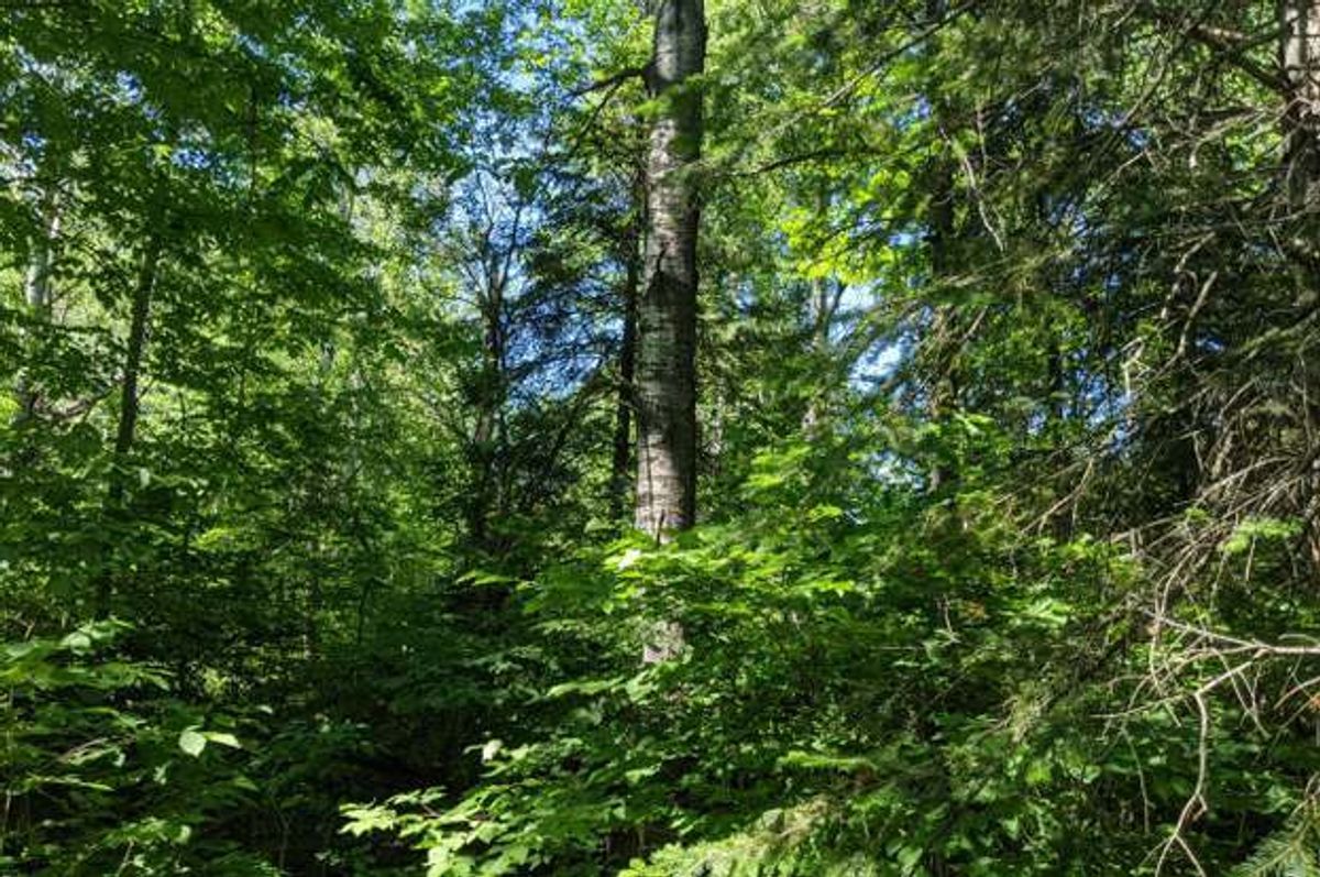property-listing