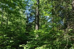 listing-thumbnails