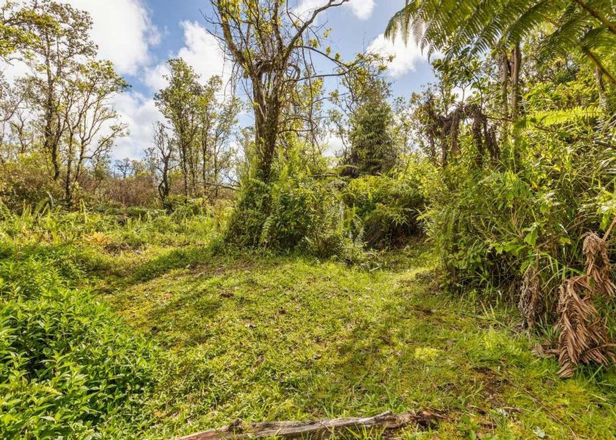property-listing