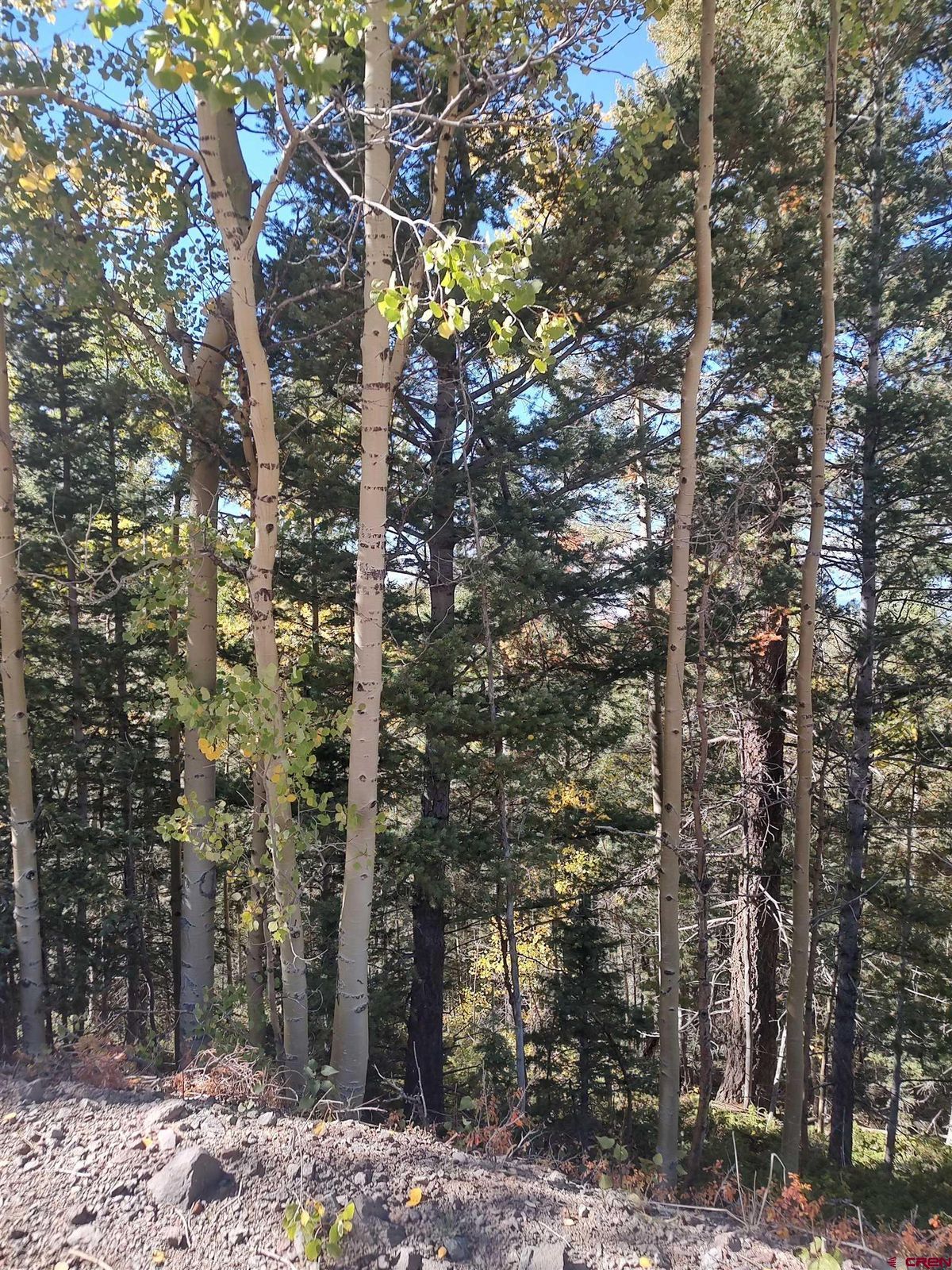 property-listing