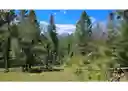 listing-thumbnails
