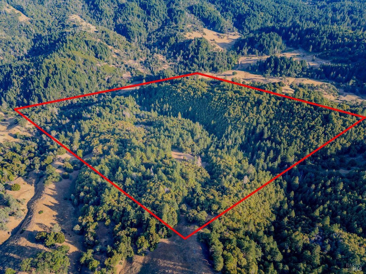 property-listing