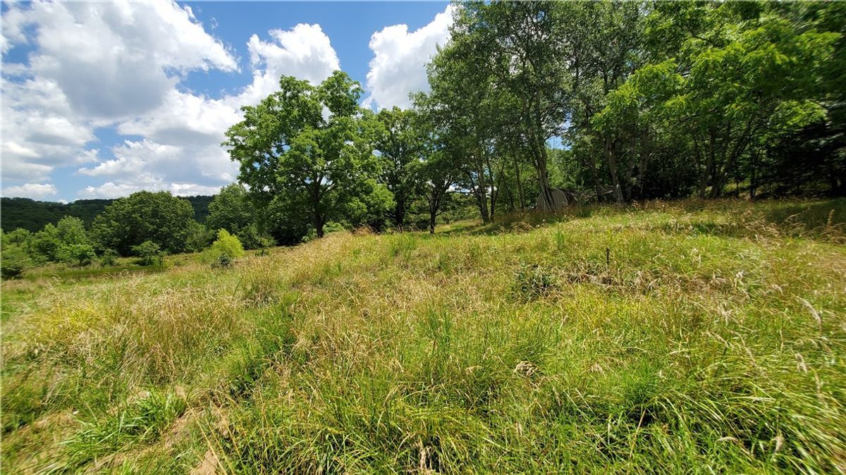 property-listing