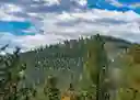 listing-thumbnails