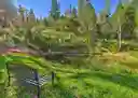listing-thumbnails