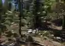 listing-thumbnails