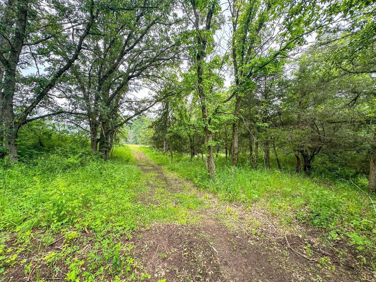 property-listing