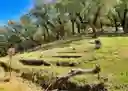 listing-thumbnails