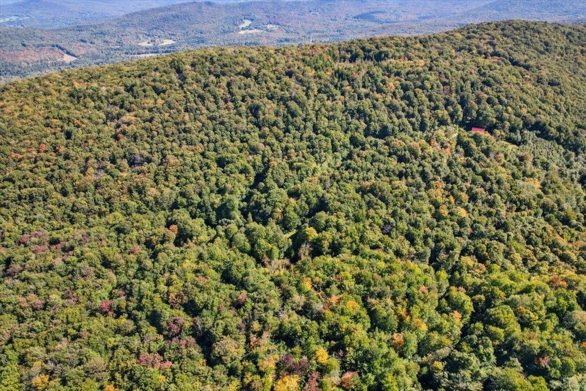 property-listing