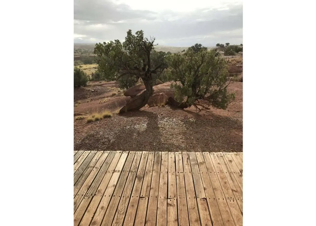 Green Homes for Sale - St Johns, Arizona Green Home