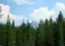 listing-thumbnails