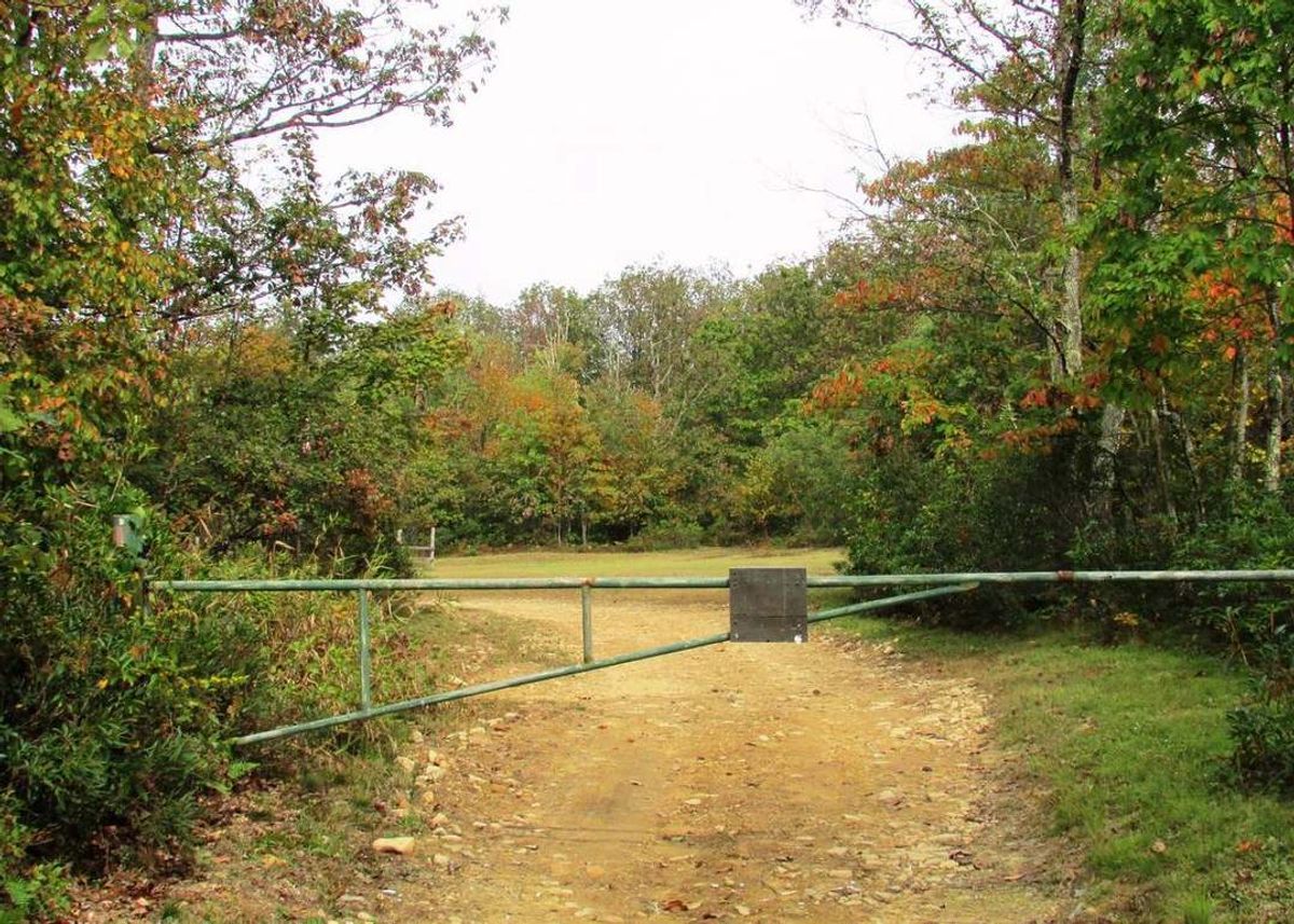 property-listing