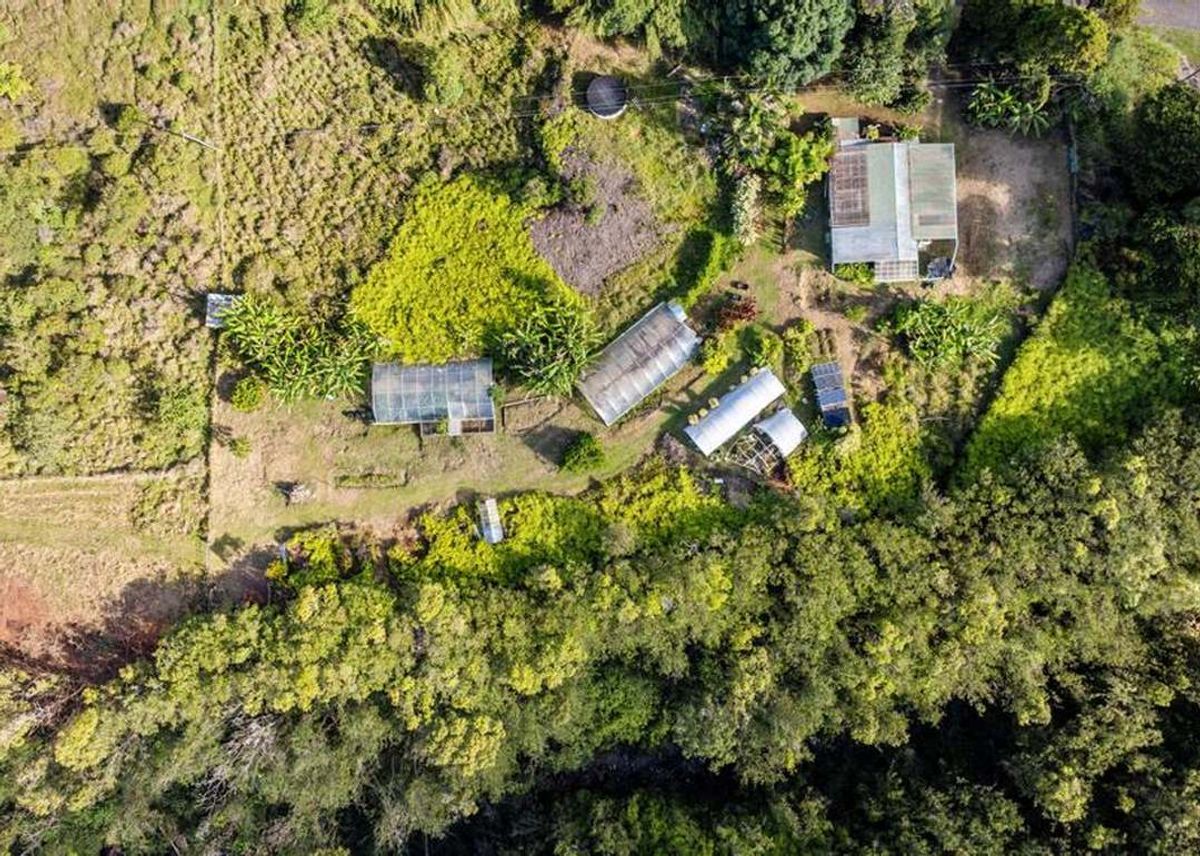 Green Homes for Sale - Ninole, Hawaii Green Home