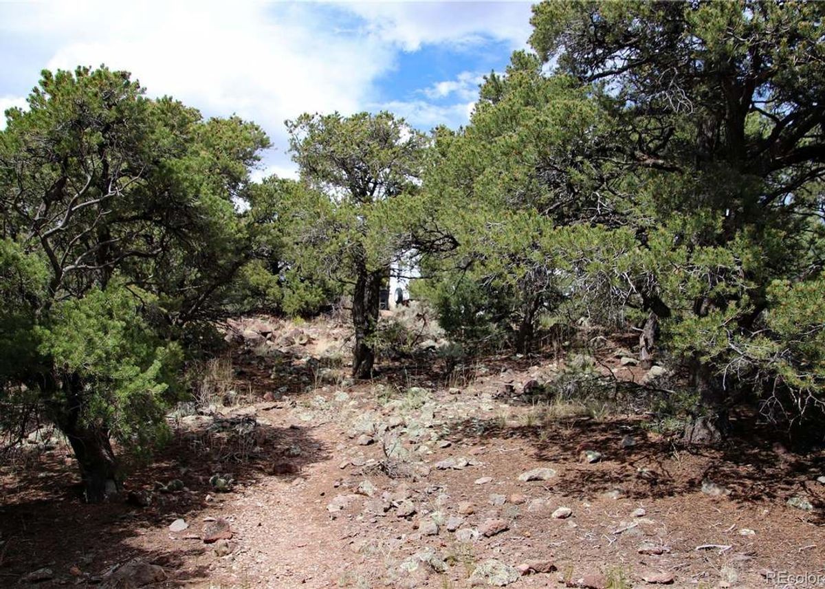 property-listing