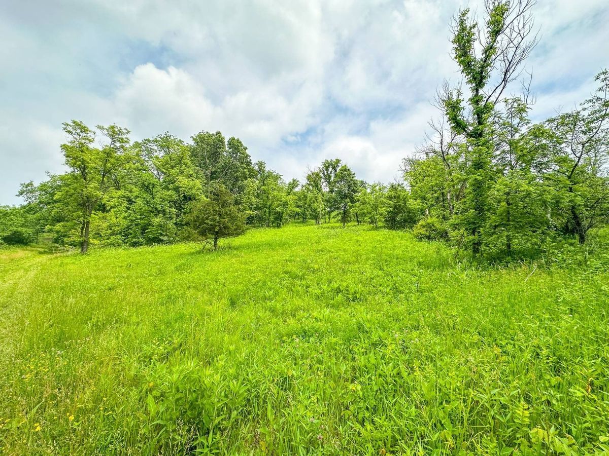 property-listing