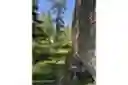 listing-thumbnails