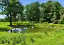 listing-thumbnails