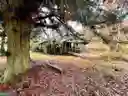 listing-thumbnails