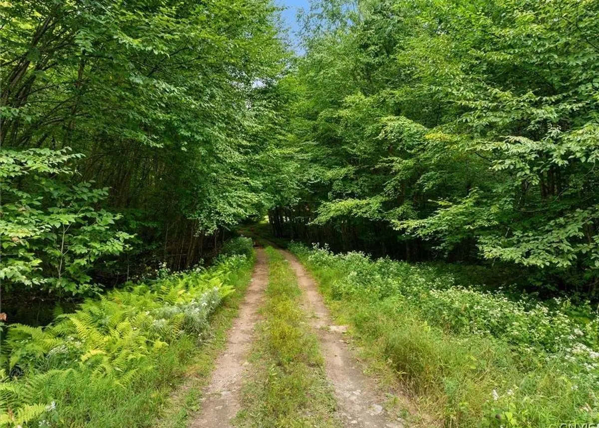 property-listing