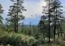 listing-thumbnails