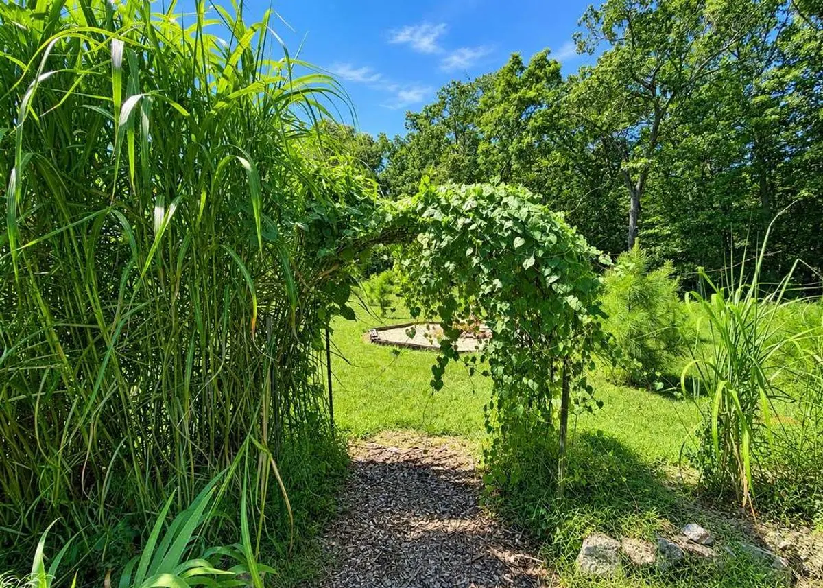 property-listing