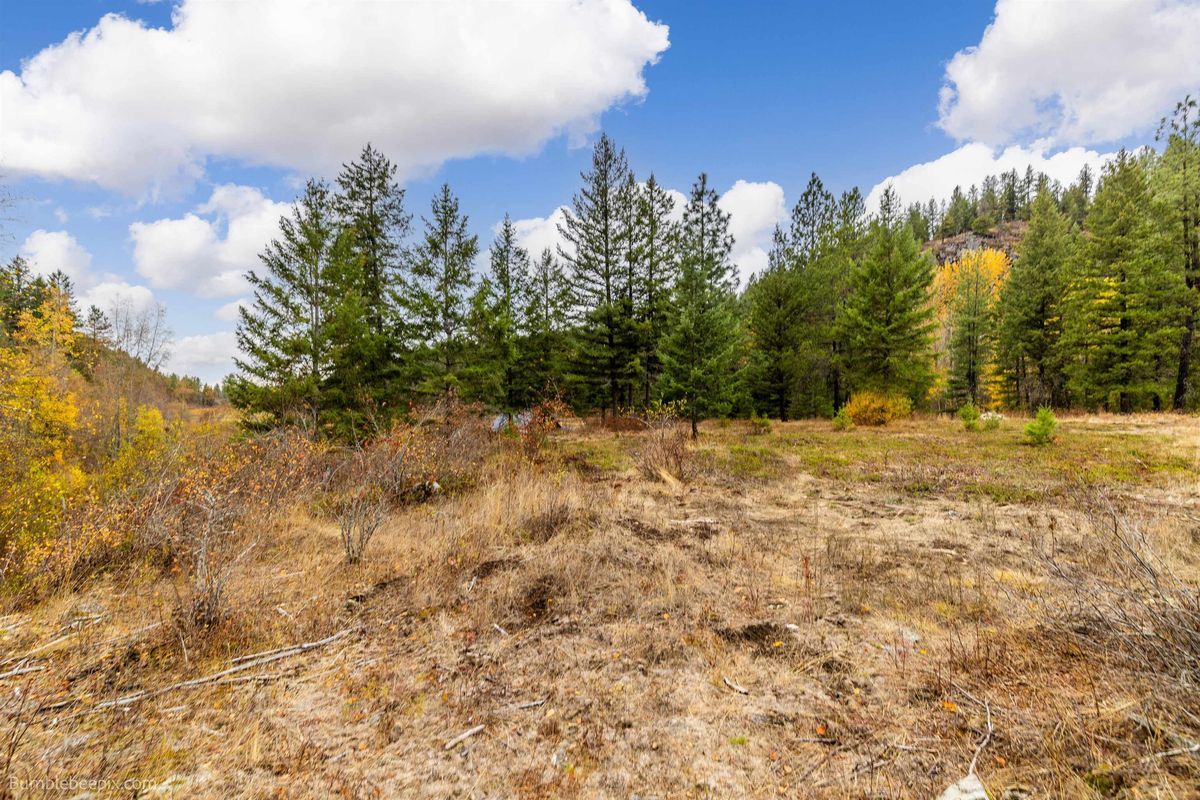 property-listing