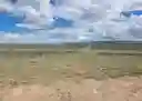 listing-thumbnails
