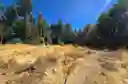 listing-thumbnails