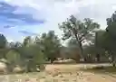 listing-thumbnails