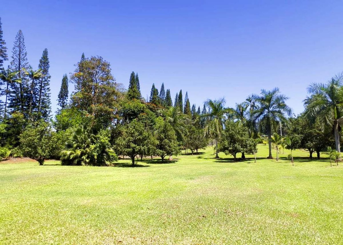 property-listing