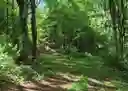 listing-thumbnails