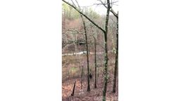 listing-thumbnails