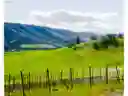 Photo 5 of green home in The Dalles, Oregon